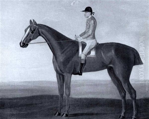 "scope", A Bay Racehorse With Jockey Up - view 1