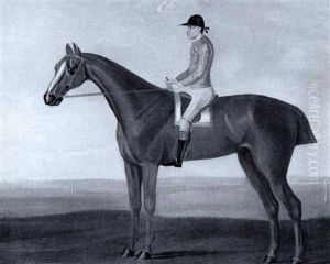 "scope", A Bay Racehorse With Jockey Up
