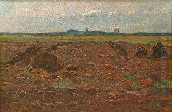 Auf Dem Feld - view 1