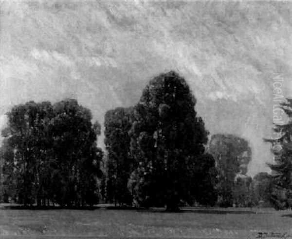 Parklandschaft Im Hochsommer - view 1