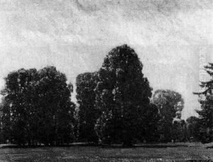 Baume Baume