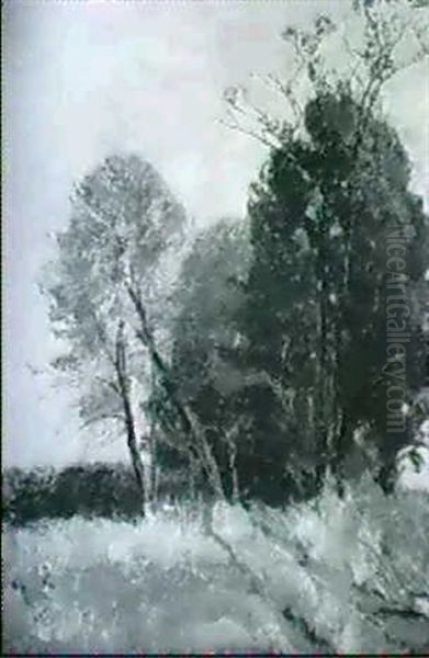 Herbst In Dachauer Moos - view 1
