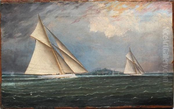 Yacht Racing, Boston Harbor - view 1