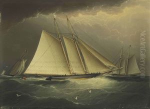 Henrietta, Fleetwing & Vesta (great Ocean Yacht Race) by James Edward Buttersworth