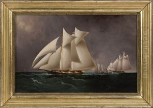 The Mohawk And Dauntless Off Sandy Hook
