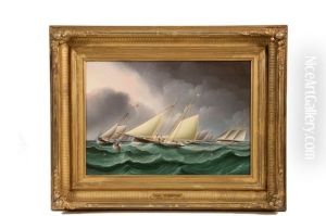 Fetching The Mark Fetching The Mark