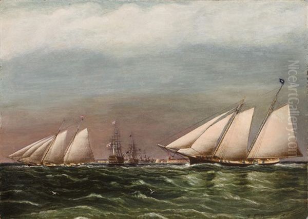 The Match Between America And Titania - view 1