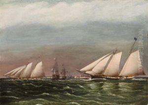 The Match Between America And Titania by James Edward Buttersworth