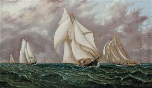 The Yacht Race