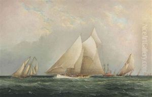 The Hurricane Cup Race: Dauntless V. Columbia