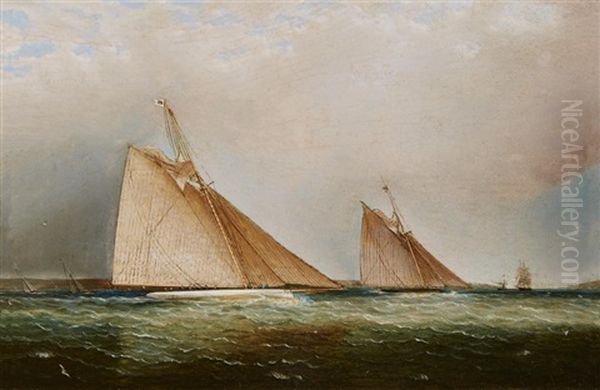 Cutters Leading The Fleet Through The Sound, N.y. - view 1