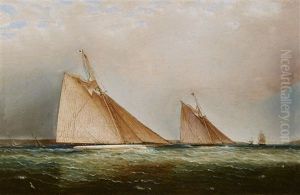 Cutters Leading The Fleet Through The Sound, N.y. by James Edward Buttersworth