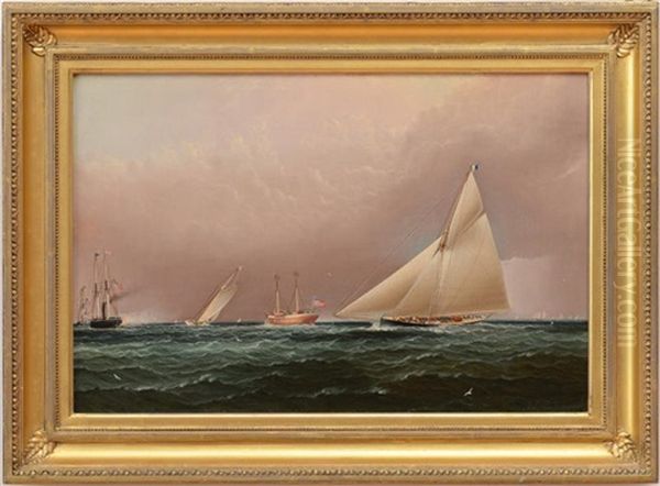 New York Yacht Club Race Off Sandy Hook - view 1