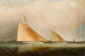 Cutters Leading The Fleet Through The Sound, Ny by James Edward Buttersworth
