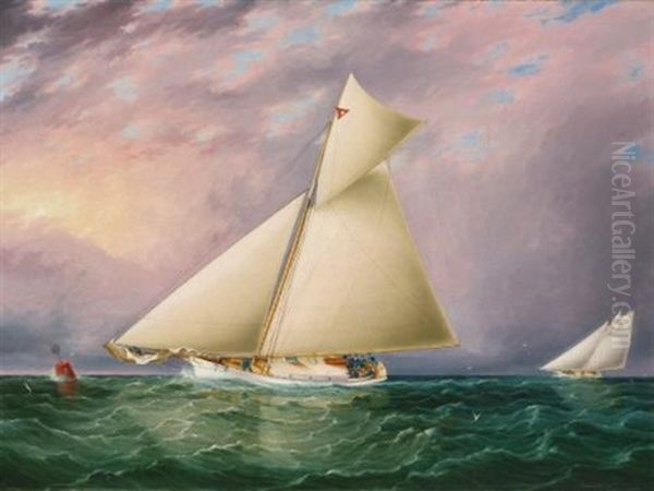 Yacht Race In New York Harbor - view 1