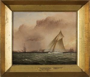 Puritan In The Narrows, New York Bay