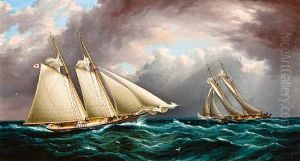 Yacht Race