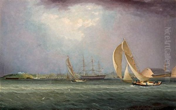 Yacht Race - view 1
