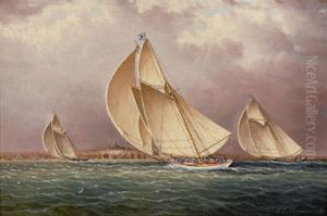 Yachting In Boston Harbor
