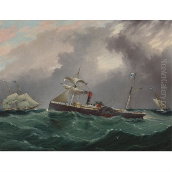 Steam Sailer, San Salvador - view 1