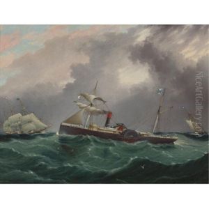 Steam Sailer, San Salvador