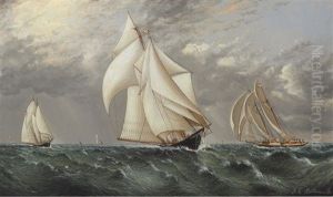 Schooner Race