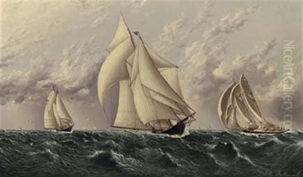 Yachts Racing - view 1