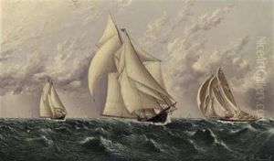 Yachts Racing