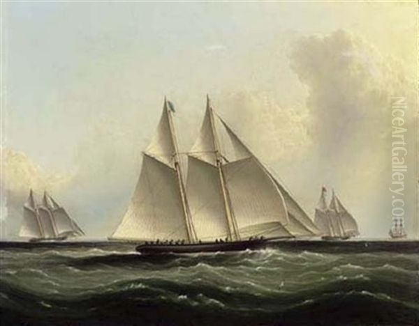The Great Ocean Race, "henrietta", "fleetwing" And "vesta" - view 1