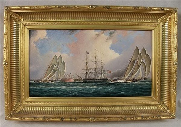 Yacht Race, New York Harbor - view 1
