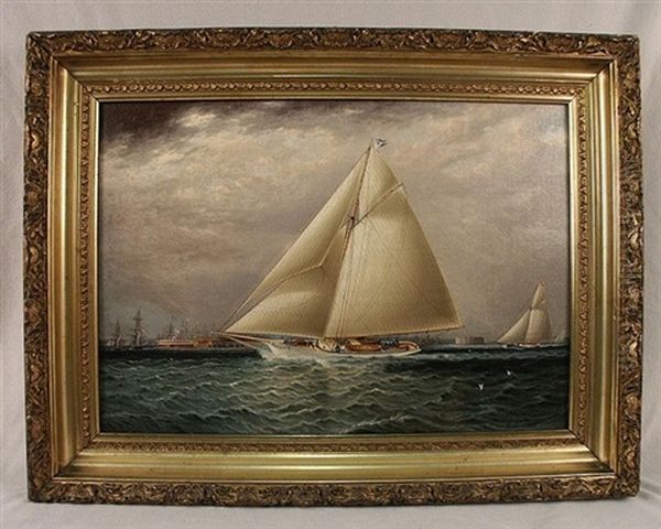 Yacht Race In New York Harbor - view 1