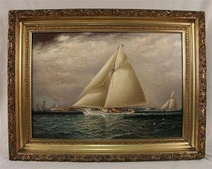 Yacht Race In New York Harbor