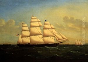 Portrait Of Clipper Ship "game Cock' by James Edward Buttersworth