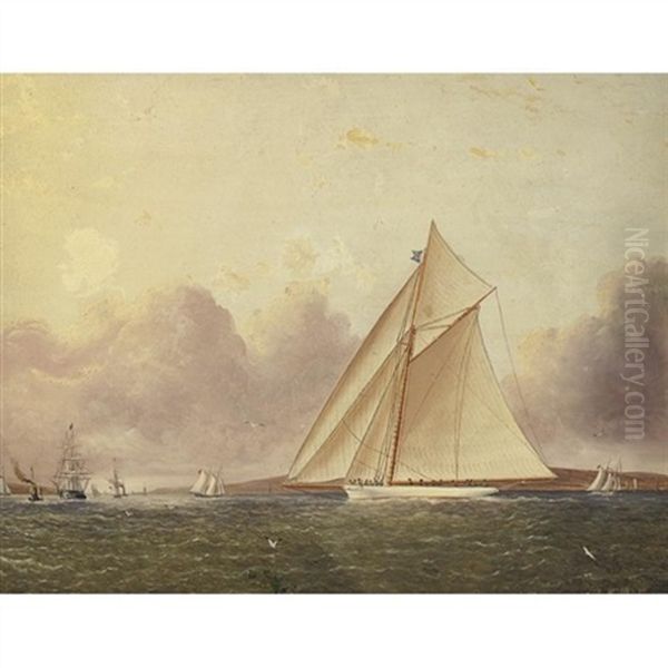 A View Of New York Sound, The "volunteer" In The Foreground - view 1