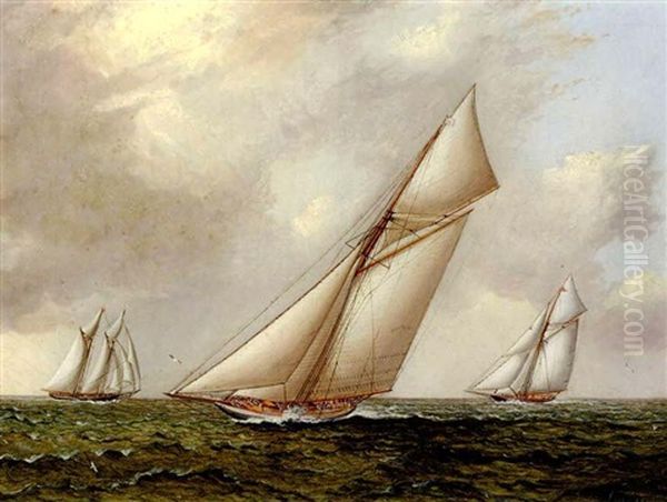 Vigilant Vs. Valkyrie Ii In The 1893 America's Cup - view 1