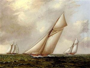 Vigilant Vs. Valkyrie Ii In The 1893 America's Cup