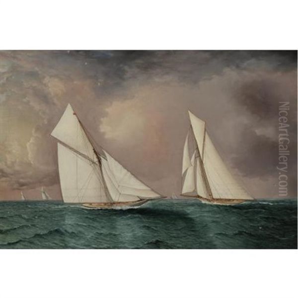 Vigilant And "valkyrie Ii" In The America's Cup Race - view 1