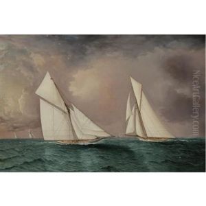 Vigilant And "valkyrie Ii" In The America's Cup Race