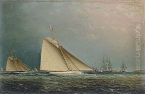 Puritan Racing Off Of Staten Island