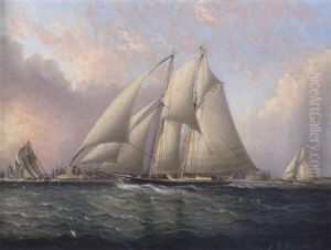 Regatta Vor Governors Island, New York, Im Vordergrund Die "magic"