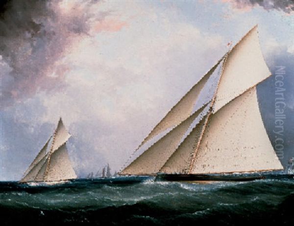 "puritan" And "genesta", America's Cup 1885 - view 1