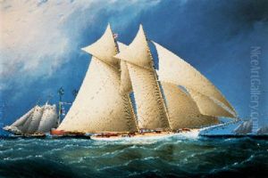 New York Yacht Club Schooner "columbia" Leading Schooner "dauntless" In The Hurricane Cup Race by James Edward Buttersworth