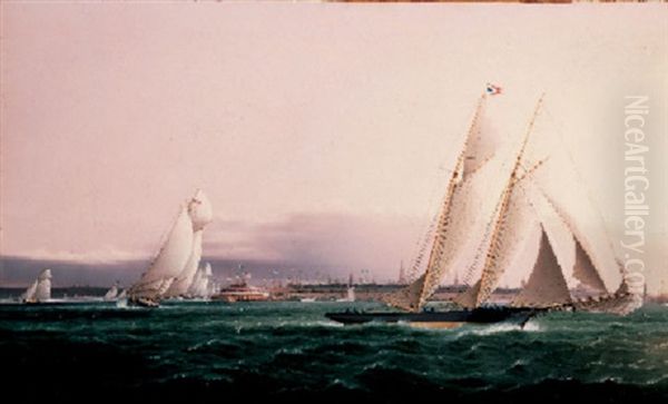 New York From The Bay - view 1
