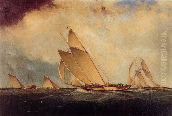 Yacht Race Off Sandy Hook Lightship - view 1