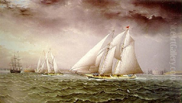 Schooner Race In New York Harbor - view 1