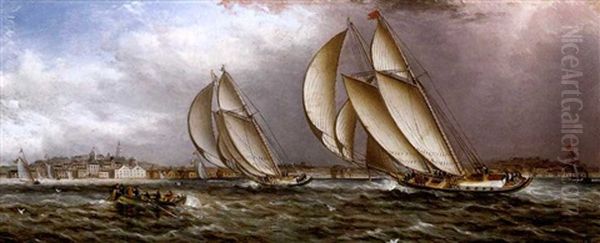 Yacht Race In Gloucester Harbor - view 1
