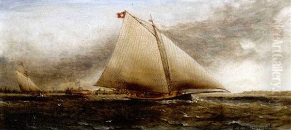 Yacht Race Off Castle Garden, New York - view 1