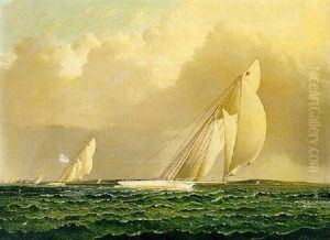 Yacht Race In New York Harbor