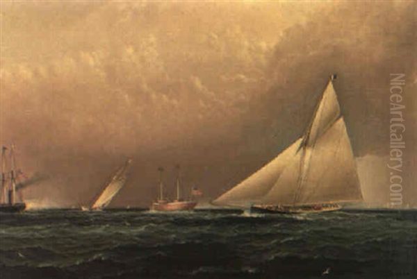 America's Cup Trial Race, 1885 - view 1
