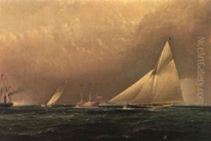 America's Cup Trial Race, 1885 by James Edward Buttersworth